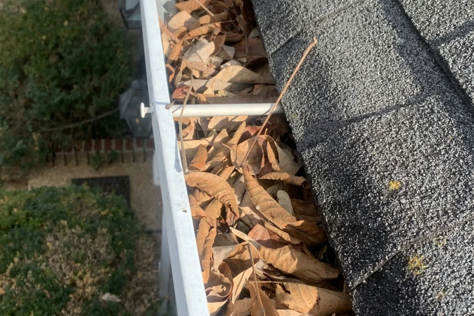 Gutter Cleaning Chantilly