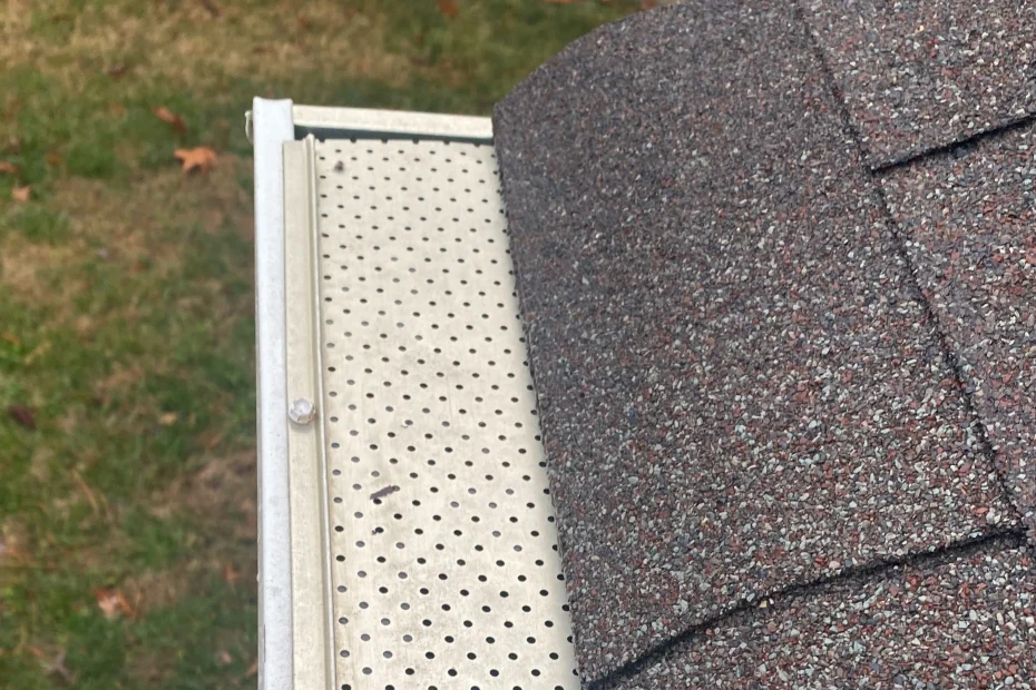 Gutter Cleaning Chantilly