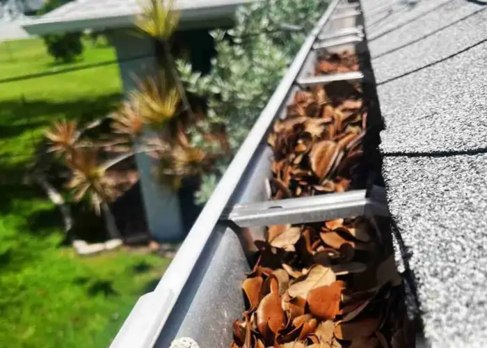 Gutter Cleaning Chantilly home page